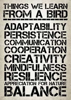 Life Lessons From Birds