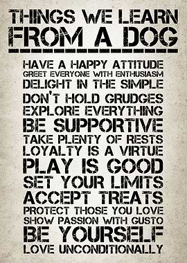 Life Lessons from Dogs