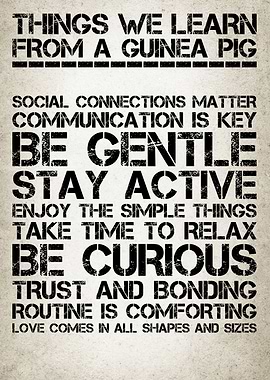 Lessons from Guinea Pig