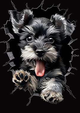 Miniature Schnauzer
