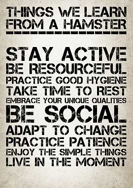 Life Lessons From Hamsters