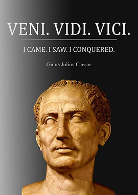 VENI VIDI VICI