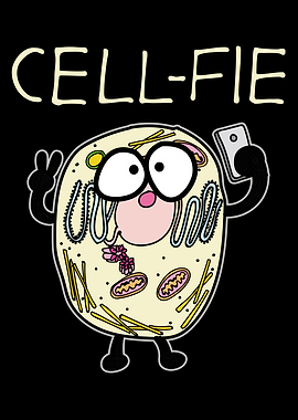 Explore the Quirky World