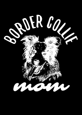 Unique Border Collie