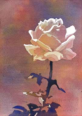White rose watercolor art