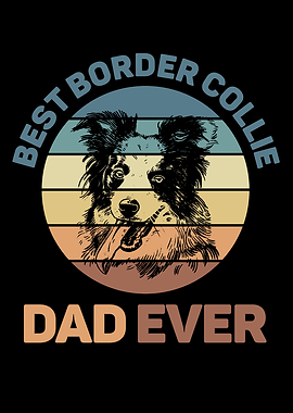 Unique Border Collie
