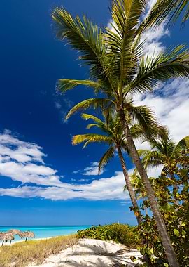 Exotic beach in Cuba