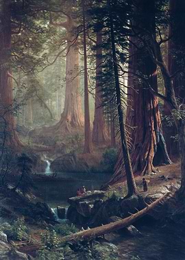 Giant Redwood Trees