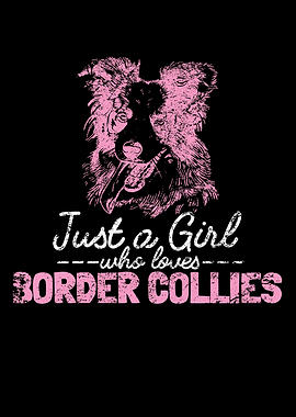 Unique Border Collie