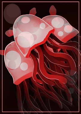 Crimson Red Jellyfish