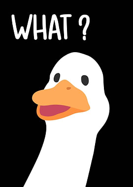 Funny Duck Meme