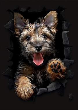 Scottish Terrier