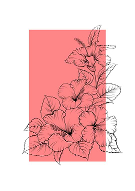 Hibiscus Flower Line Art