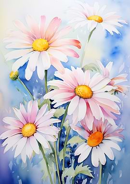Daisies
