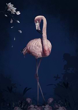 Flamingo