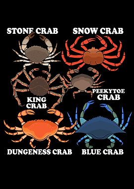 Crab Species Crab Lover
