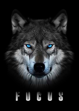 Wolf Focus
