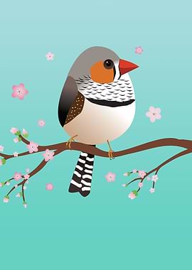 Cute zebra finch