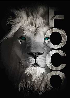 Lion Foco