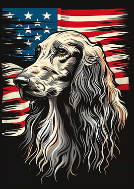 Afghan Hound American Flag
