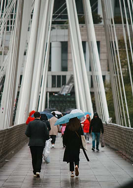 City Bridge Walkers