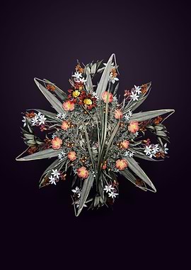 Ixia Tricolor Wreath