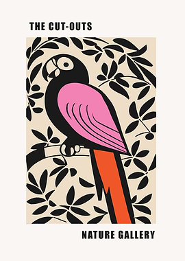 Parrot Nature Gallery