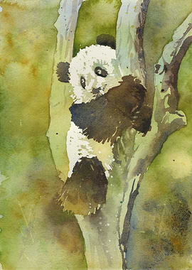 Panda bear watercolor art