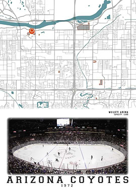 Arizona Coyotes 1972 Mulle