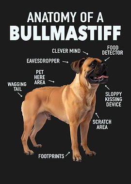 Bullmastiff