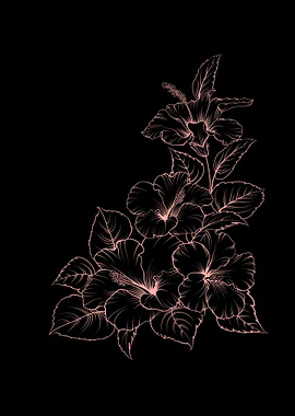 Hibiscus Tropical Flower