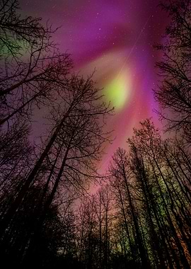 Northern Lights 1