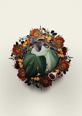 Black Fig Fruit Wreath