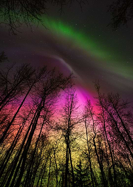 Northern Lights 3