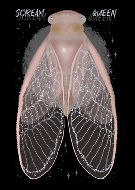 SCREAM QUEEN pink cicada