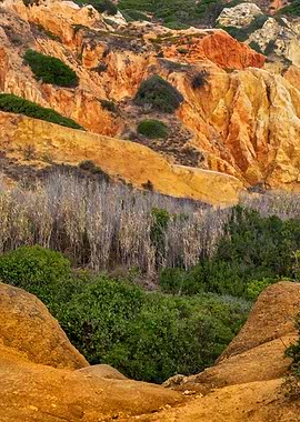 Algarve Landscape Portugal