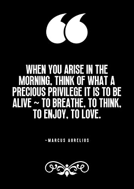 Marcus Aurelius Quote