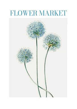 Flower Market Dandelion