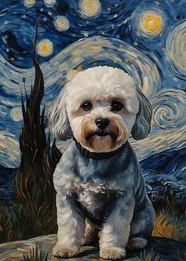 Bichon Starry Night