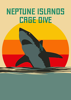 Neptune Islands Shark Dive