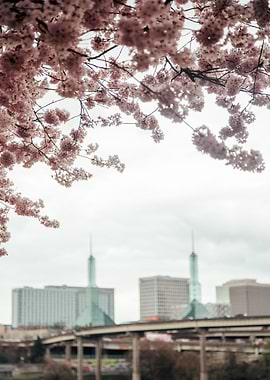 Oregon Convention Center