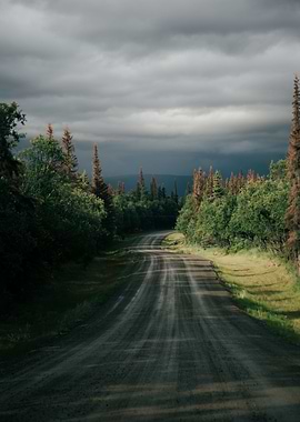 Stormy Forest Road