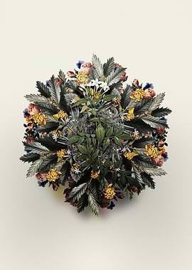 Jasmin Officinale Wreath