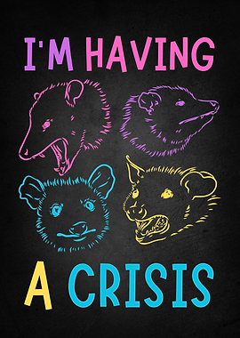 Possum Meme Crisis
