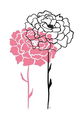 Pink and black peonies