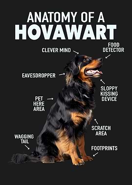 Hovawart