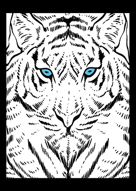 Tiger Face Wildlife Photog