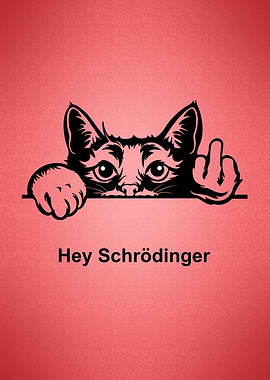 Schrodinger Cat funny