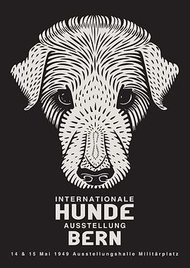 Hunde Austellung Bern