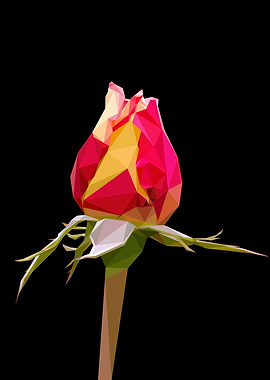 Red Yellow Flower Abstract